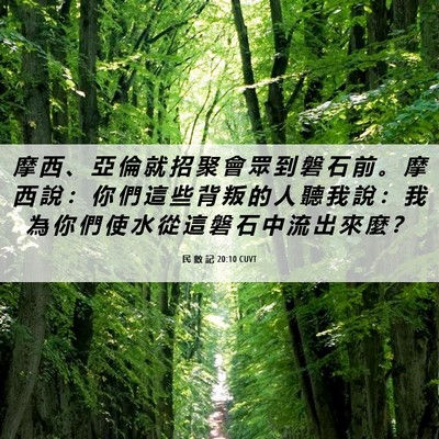 Picture 06 - 民 數 記 20:10 CUVT - 摩 西 、 亞 倫 就 招 聚 會 眾 到 磐 - Bible Verse Picture