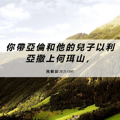 Picture 06 - 民 數 記 20:25 CUVT - 你 帶 亞 倫 和 他 的 兒 子 以 利 亞 - Bible Verse Picture
