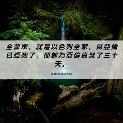 Picture 06 - 民 數 記 20:29 CUVT - 全 會 眾 ， 就 是 以 色 列 全 家 ， - Bible Verse Picture