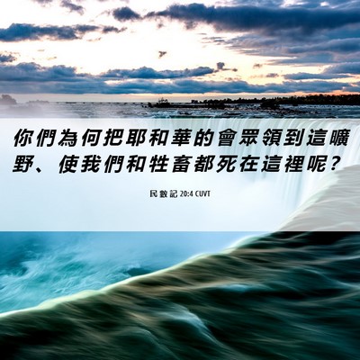 Picture 06 - 民 數 記 20:4 CUVT - 你 們 為 何 把 耶 和 華 的 會 眾 領 - Bible Verse Picture