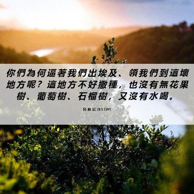 Picture 06 - 民 數 記 20:5 CUVT - 你 們 為 何 逼 著 我 們 出 埃 及 、 - Bible Verse Picture
