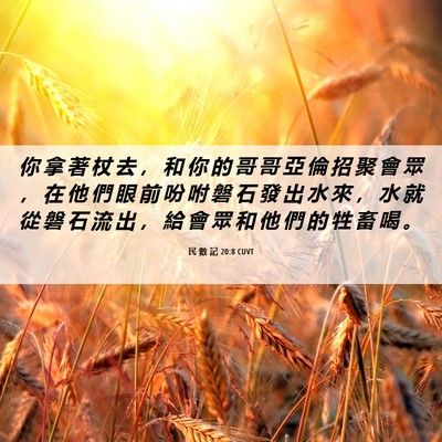 Picture 06 - 民 數 記 20:8 CUVT - 你 拿 著 杖 去 ， 和 你 的 哥 哥 亞 - Bible Verse Picture