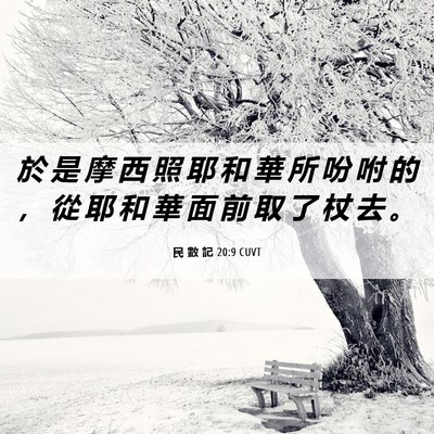 Picture 06 - 民 數 記 20:9 CUVT - 於 是 摩 西 照 耶 和 華 所 吩 咐 的 - Bible Verse Picture
