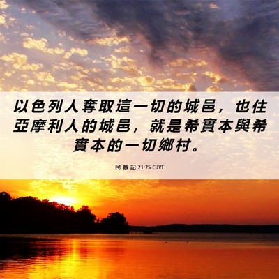Picture 06 - 民 數 記 21:25 CUVT - 以 色 列 人 奪 取 這 一 切 的 城 邑 - Bible Verse Picture