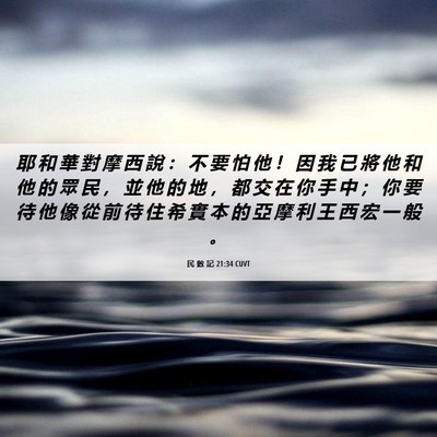 Picture 06 - 民 數 記 21:34 CUVT - 耶 和 華 對 摩 西 說 ： 不 要 怕 他 - Bible Verse Picture