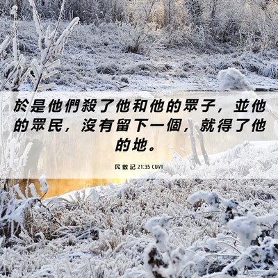 Picture 06 - 民 數 記 21:35 CUVT - 於 是 他 們 殺 了 他 和 他 的 眾 子 - Bible Verse Picture