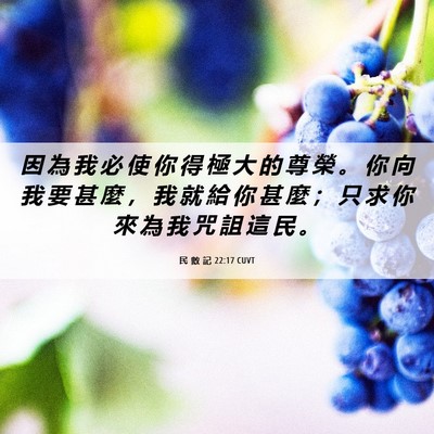 Picture 06 - 民 數 記 22:17 CUVT - 因 為 我 必 使 你 得 極 大 的 尊 榮 - Bible Verse Picture
