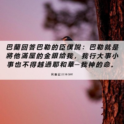 Picture 06 - 民 數 記 22:18 CUVT - 巴 蘭 回 答 巴 勒 的 臣 僕 說 ： 巴 - Bible Verse Picture