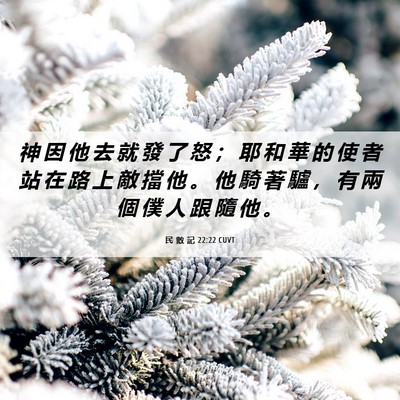 Picture 06 - 民 數 記 22:22 CUVT - 神 因 他 去 就 發 了 怒 ； 耶 和 華 - Bible Verse Picture