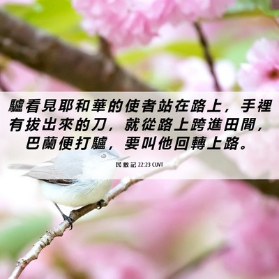Picture 06 - 民 數 記 22:23 CUVT - 驢 看 見 耶 和 華 的 使 者 站 在 路 - Bible Verse Picture