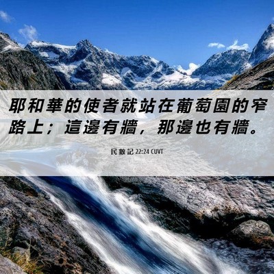 Picture 06 - 民 數 記 22:24 CUVT - 耶 和 華 的 使 者 就 站 在 葡 萄 園 - Bible Verse Picture