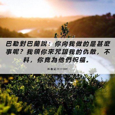Picture 06 - 民 數 記 23:11 CUVT - 巴 勒 對 巴 蘭 說 ： 你 向 我 做 的 - Bible Verse Picture
