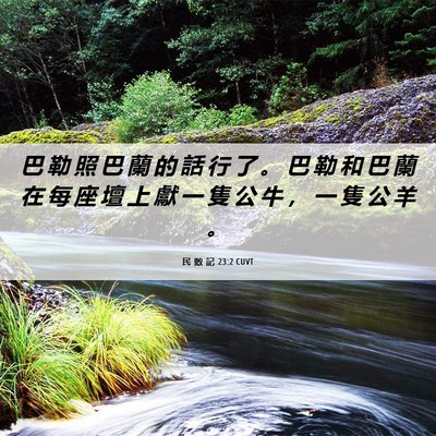 Picture 06 - 民 數 記 23:2 CUVT - 巴 勒 照 巴 蘭 的 話 行 了 。 巴 勒 - Bible Verse Picture