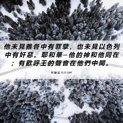 Picture 06 - 民 數 記 23:21 CUVT - 他 未 見 雅 各 中 有 罪 孽 ， 也 未 - Bible Verse Picture