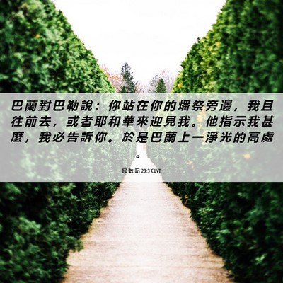 Picture 06 - 民 數 記 23:3 CUVT - 巴 蘭 對 巴 勒 說 ： 你 站 在 你 的 - Bible Verse Picture