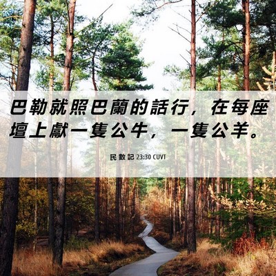 Picture 06 - 民 數 記 23:30 CUVT - 巴 勒 就 照 巴 蘭 的 話 行 ， 在 每 - Bible Verse Picture