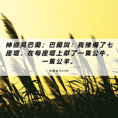 Picture 06 - 民 數 記 23:4 CUVT - 神 迎 見 巴 蘭 ； 巴 蘭 說 ： 我 豫 - Bible Verse Picture