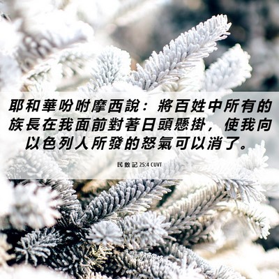 Picture 06 - 民 數 記 25:4 CUVT - 耶 和 華 吩 咐 摩 西 說 ： 將 百 姓 - Bible Verse Picture