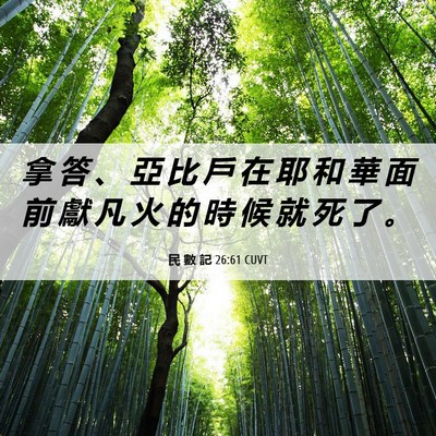 Picture 06 - 民 數 記 26:61 CUVT - 拿 答 、 亞 比 戶 在 耶 和 華 面 前 - Bible Verse Picture