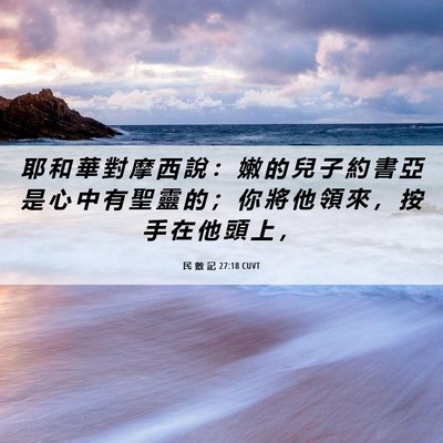 Picture 06 - 民 數 記 27:18 CUVT - 耶 和 華 對 摩 西 說 ： 嫩 的 兒 子 - Bible Verse Picture