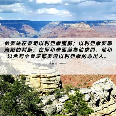 Picture 06 - 民 數 記 27:21 CUVT - 他 要 站 在 祭 司 以 利 亞 撒 面 前 - Bible Verse Picture