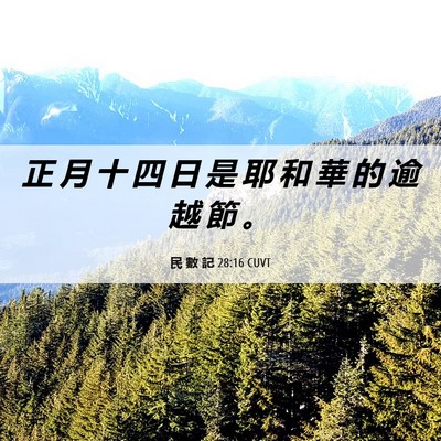 Picture 06 - 民 數 記 28:16 CUVT - 正 月 十 四 日 是 耶 和 華 的 逾 越 - Bible Verse Picture