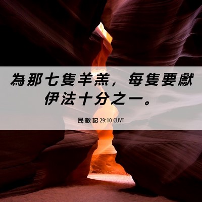 Picture 06 - 民 數 記 29:10 CUVT - 為 那 七 隻 羊 羔 ， 每 隻 要 獻 伊 - Bible Verse Picture