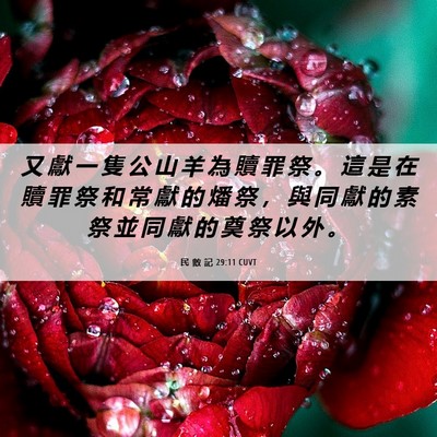 Picture 06 - 民 數 記 29:11 CUVT - 又 獻 一 隻 公 山 羊 為 贖 罪 祭 。 - Bible Verse Picture