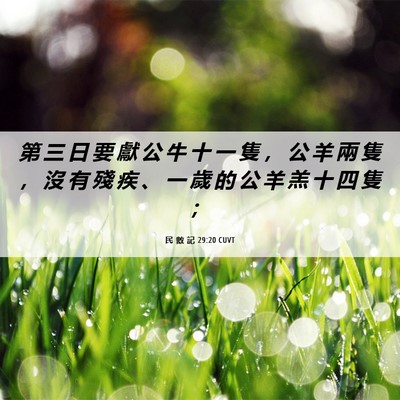 Picture 06 - 民 數 記 29:20 CUVT - 第 三 日 要 獻 公 牛 十 一 隻 ， 公 - Bible Verse Picture