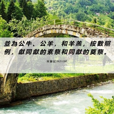 Picture 06 - 民 數 記 29:21 CUVT - 並 為 公 牛 、 公 羊 ， 和 羊 羔 ， - Bible Verse Picture
