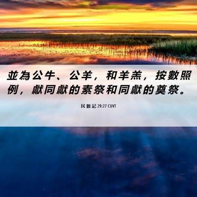Picture 06 - 民 數 記 29:27 CUVT - 並 為 公 牛 、 公 羊 ， 和 羊 羔 ， - Bible Verse Picture