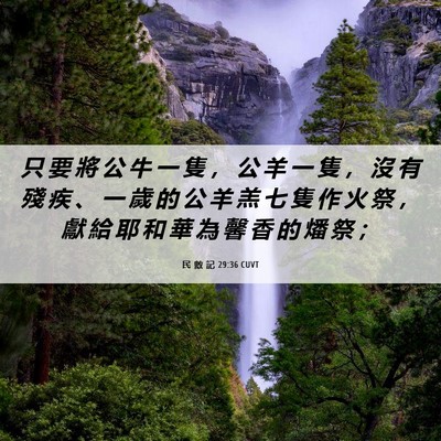Picture 06 - 民 數 記 29:36 CUVT - 只 要 將 公 牛 一 隻 ， 公 羊 一 隻 - Bible Verse Picture