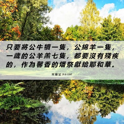 Picture 06 - 民 數 記 29:8 CUVT - 只 要 將 公 牛 犢 一 隻 ， 公 綿 羊 - Bible Verse Picture