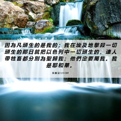 Picture 06 - 民 數 記 3:13 CUVT - 因 為 凡 頭 生 的 是 我 的 ； 我 在 - Bible Verse Picture
