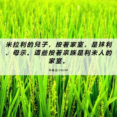 Picture 06 - 民 數 記 3:20 CUVT - 米 拉 利 的 兒 子 ， 按 著 家 室 ， - Bible Verse Picture