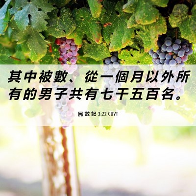 Picture 06 - 民 數 記 3:22 CUVT - 其 中 被 數 、 從 一 個 月 以 外 所 - Bible Verse Picture