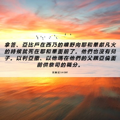 Picture 06 - 民 數 記 3:4 CUVT - 拿 答 、 亞 比 戶 在 西 乃 的 曠 野 - Bible Verse Picture
