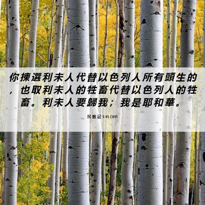 Picture 06 - 民 數 記 3:45 CUVT - 你 揀 選 利 未 人 代 替 以 色 列 人 - Bible Verse Picture