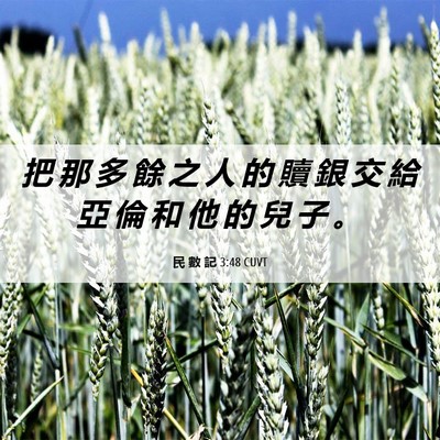 Picture 06 - 民 數 記 3:48 CUVT - 把 那 多 餘 之 人 的 贖 銀 交 給 亞 - Bible Verse Picture
