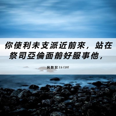 Picture 06 - 民 數 記 3:6 CUVT - 你 使 利 未 支 派 近 前 來 ， 站 在 - Bible Verse Picture