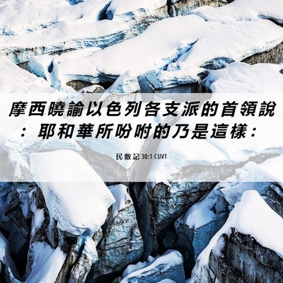 Picture 06 - 民 數 記 30:1 CUVT - 摩 西 曉 諭 以 色 列 各 支 派 的 首 - Bible Verse Picture