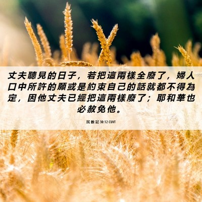 Picture 06 - 民 數 記 30:12 CUVT - 丈 夫 聽 見 的 日 子 ， 若 把 這 兩 - Bible Verse Picture