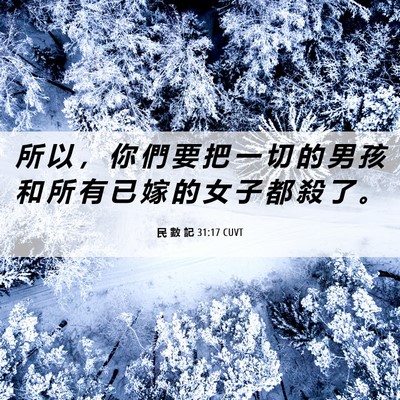 Picture 06 - 民 數 記 31:17 CUVT - 所 以 ， 你 們 要 把 一 切 的 男 孩 - Bible Verse Picture