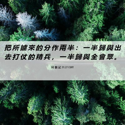 Picture 06 - 民 數 記 31:27 CUVT - 把 所 擄 來 的 分 作 兩 半 ： 一 半 - Bible Verse Picture