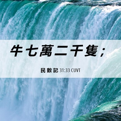 Picture 06 - 民 數 記 31:33 CUVT - 牛 七 萬 二 千 隻 - Bible Verse Picture