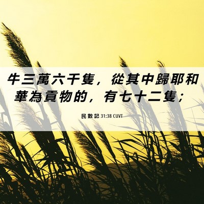 Picture 06 - 民 數 記 31:38 CUVT - 牛 三 萬 六 千 隻 ， 從 其 中 歸 耶 - Bible Verse Picture