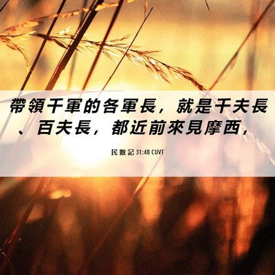 Picture 06 - 民 數 記 31:48 CUVT - 帶 領 千 軍 的 各 軍 長 ， 就 是 千 - Bible Verse Picture
