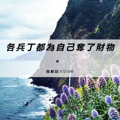 Picture 06 - 民 數 記 31:53 CUVT - 各 兵 丁 都 為 自 己 奪 了 財 物 - Bible Verse Picture