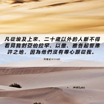 Picture 06 - 民 數 記 32:11 CUVT - 凡 從 埃 及 上 來 、 二 十 歲 以 外 - Bible Verse Picture