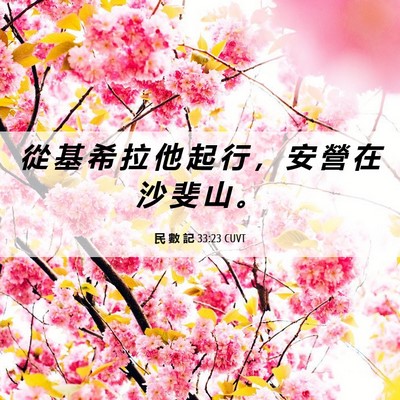 Picture 06 - 民 數 記 33:23 CUVT - 從 基 希 拉 他 起 行 ， 安 營 在 沙 - Bible Verse Picture
